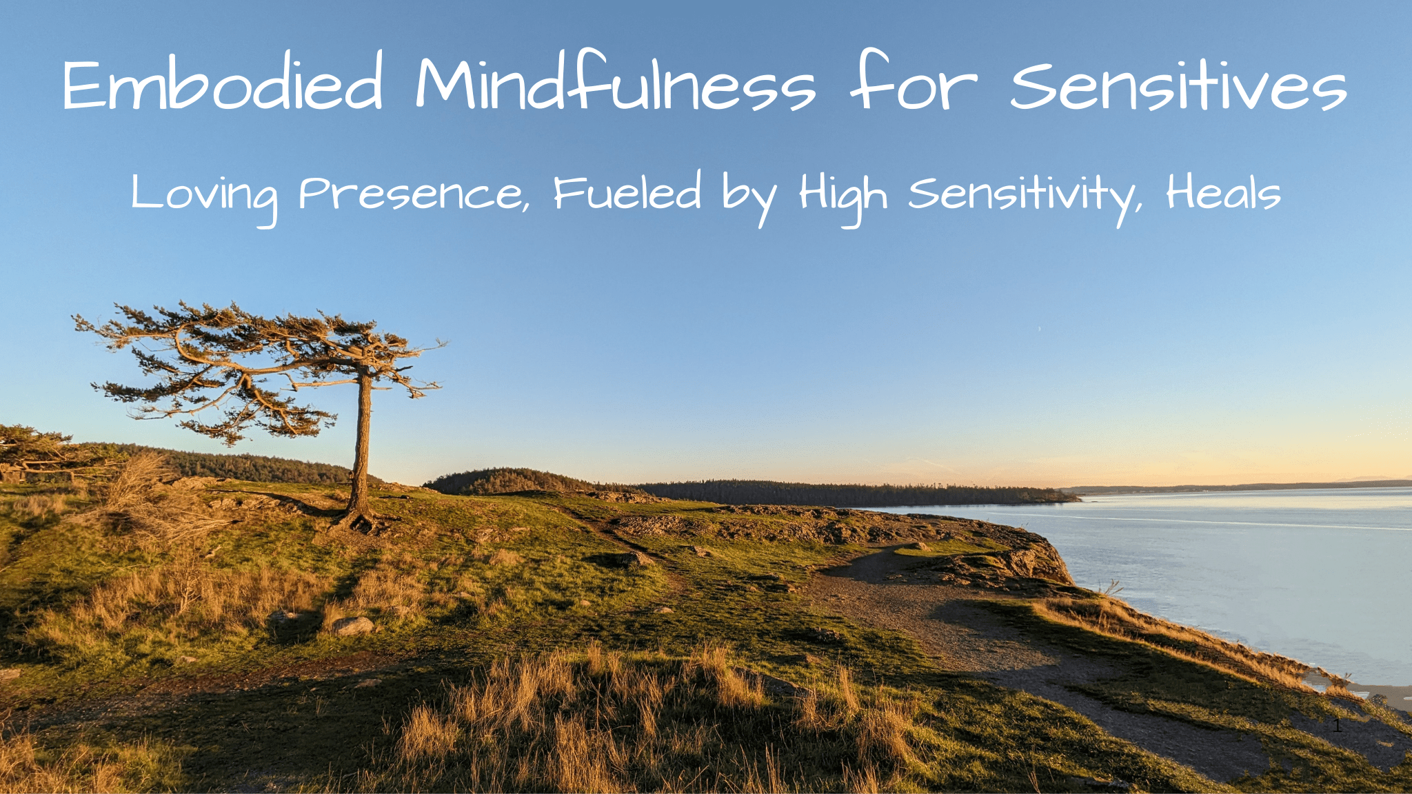 Embodied Mindfulness for the HSP (1) highly sensitive